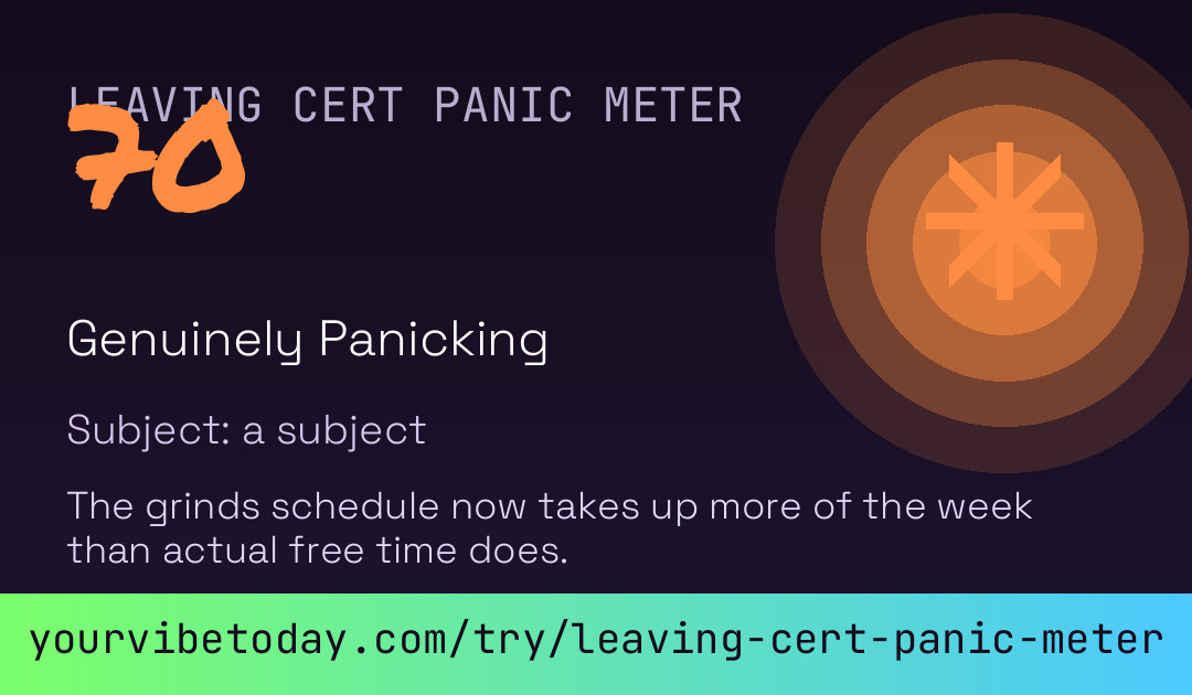Leaving Cert Panic Meter card