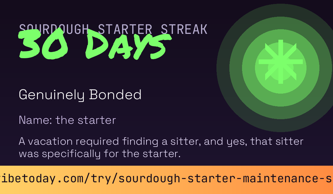 Sourdough Starter Maintenance Streak card